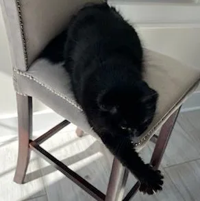 Keety Needs A New thumbnail 5