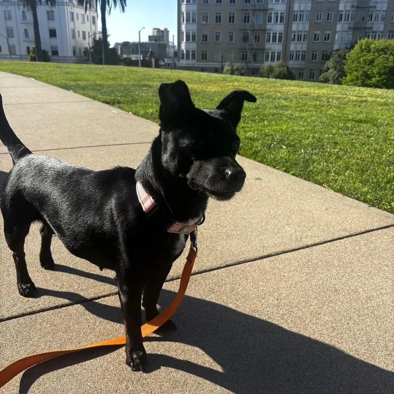 Roxy thumbnail 2