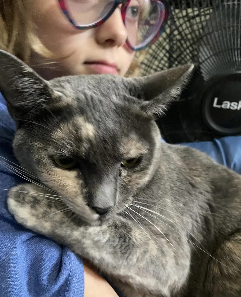 Kali Rose thumbnail 3