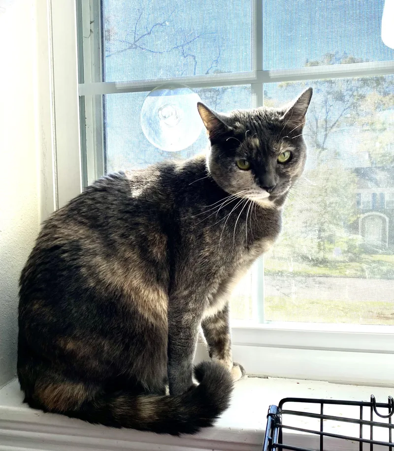 Kali Rose thumbnail 5