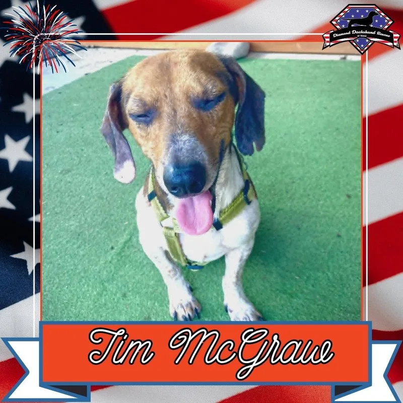 Tim McGraw thumbnail 2