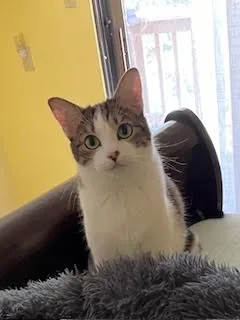 Nina & Raven  thumbnail 2