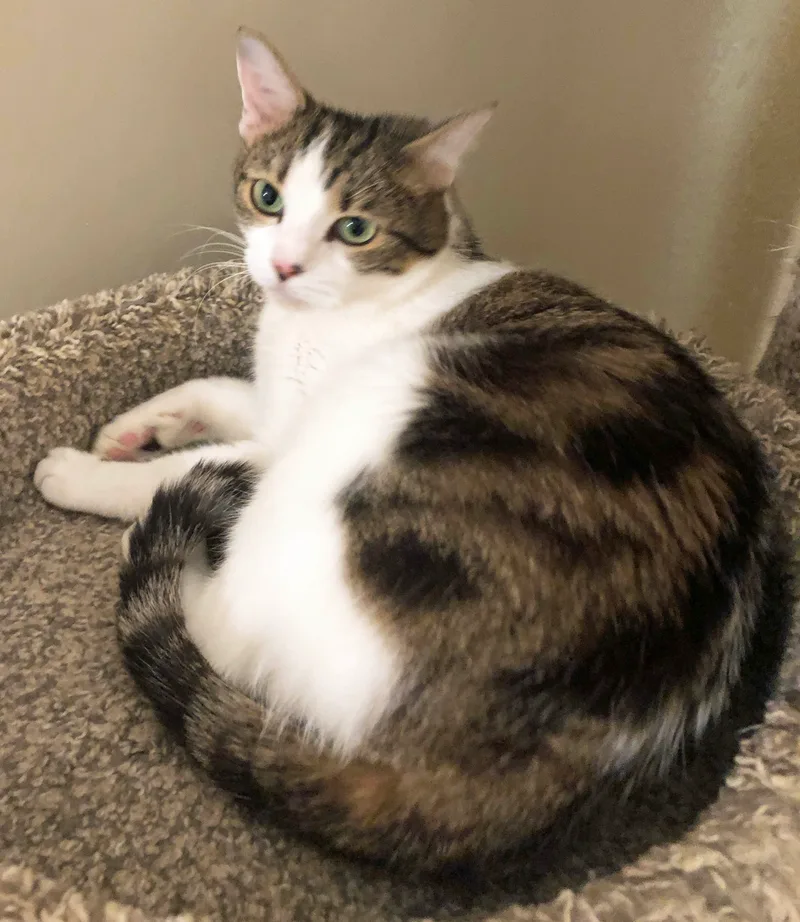 Nina & Raven  thumbnail 4