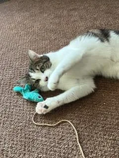 Nina & Raven  thumbnail 5