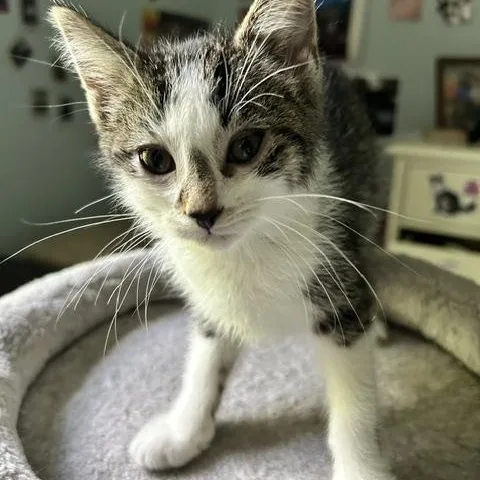 Casey