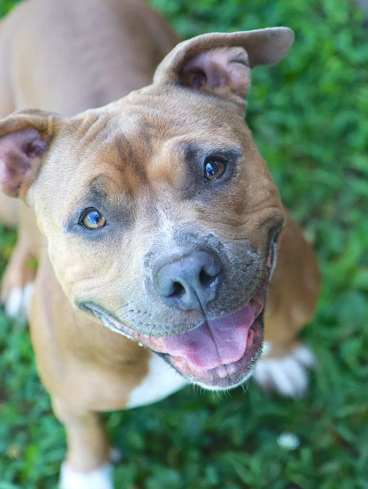 Roxanne thumbnail 5