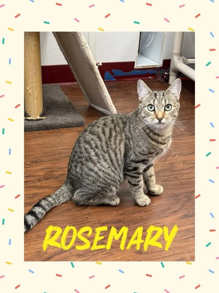 Rosemary