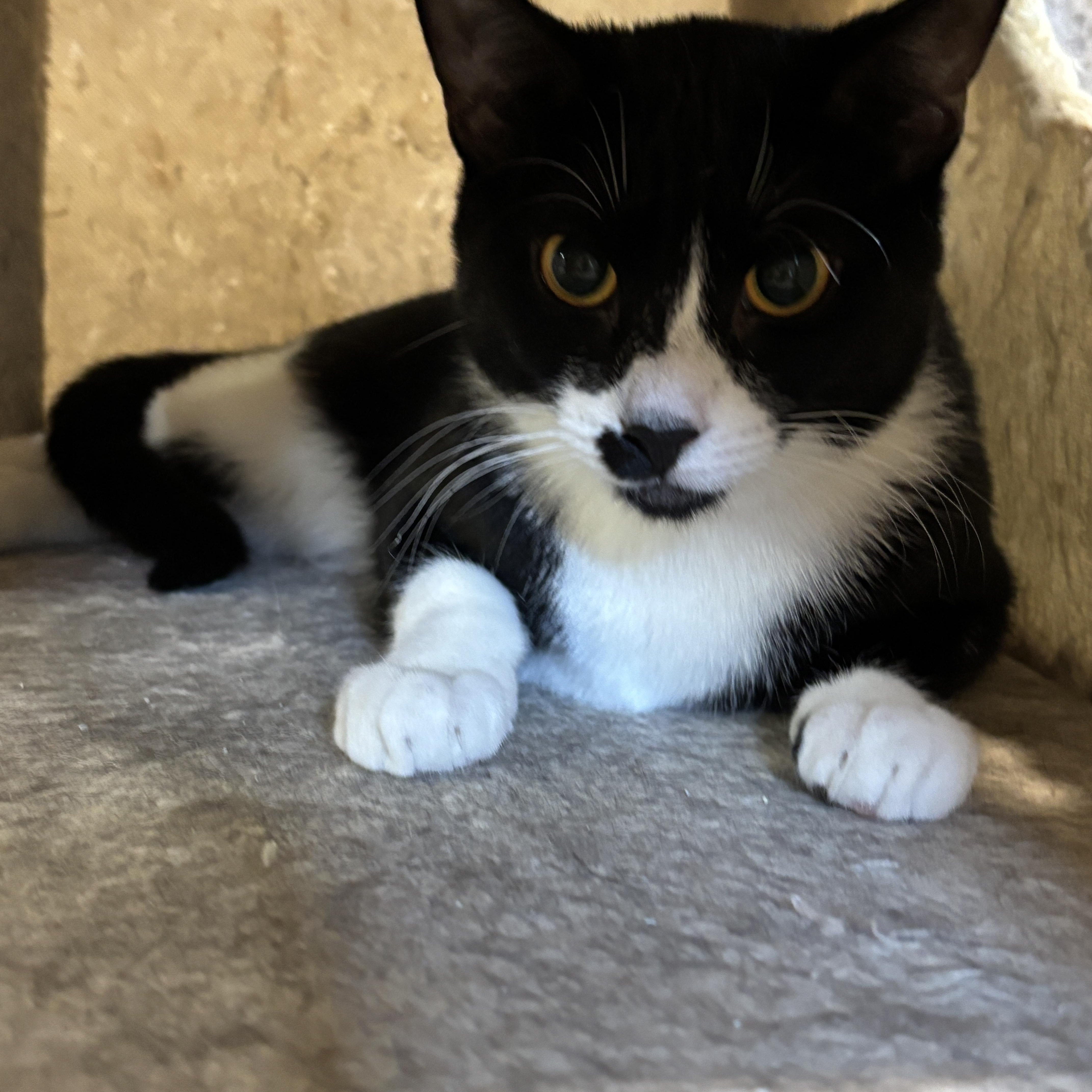 Gabrielle thumbnail 5