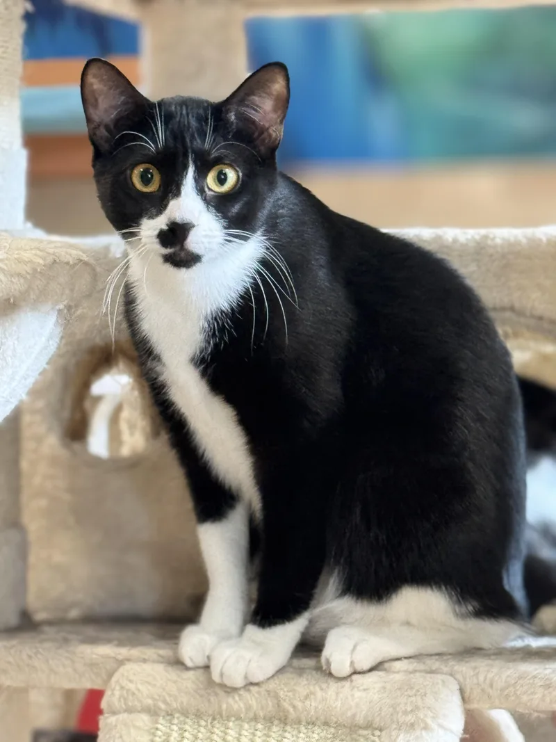 Gabrielle thumbnail 6