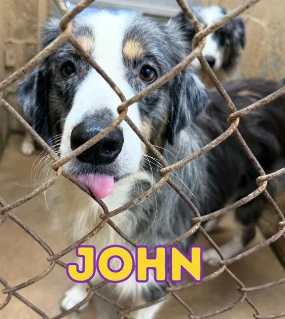 John thumbnail 2