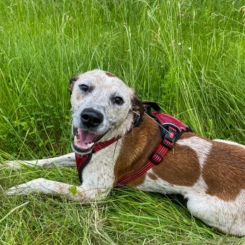 Vernon Sponsored thumbnail 4