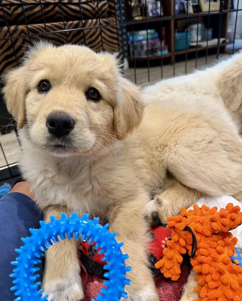 Santorini thumbnail 2