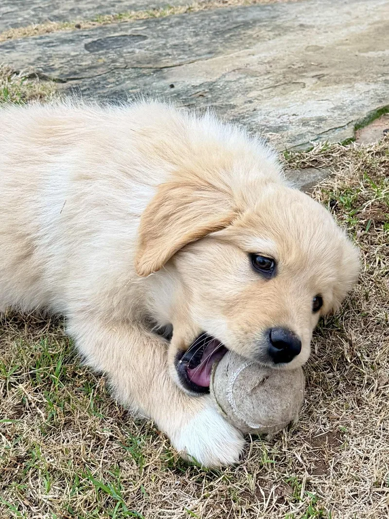 Santorini thumbnail 3