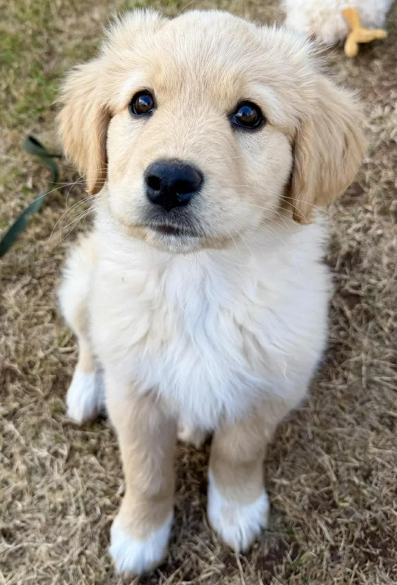 Santorini thumbnail 6