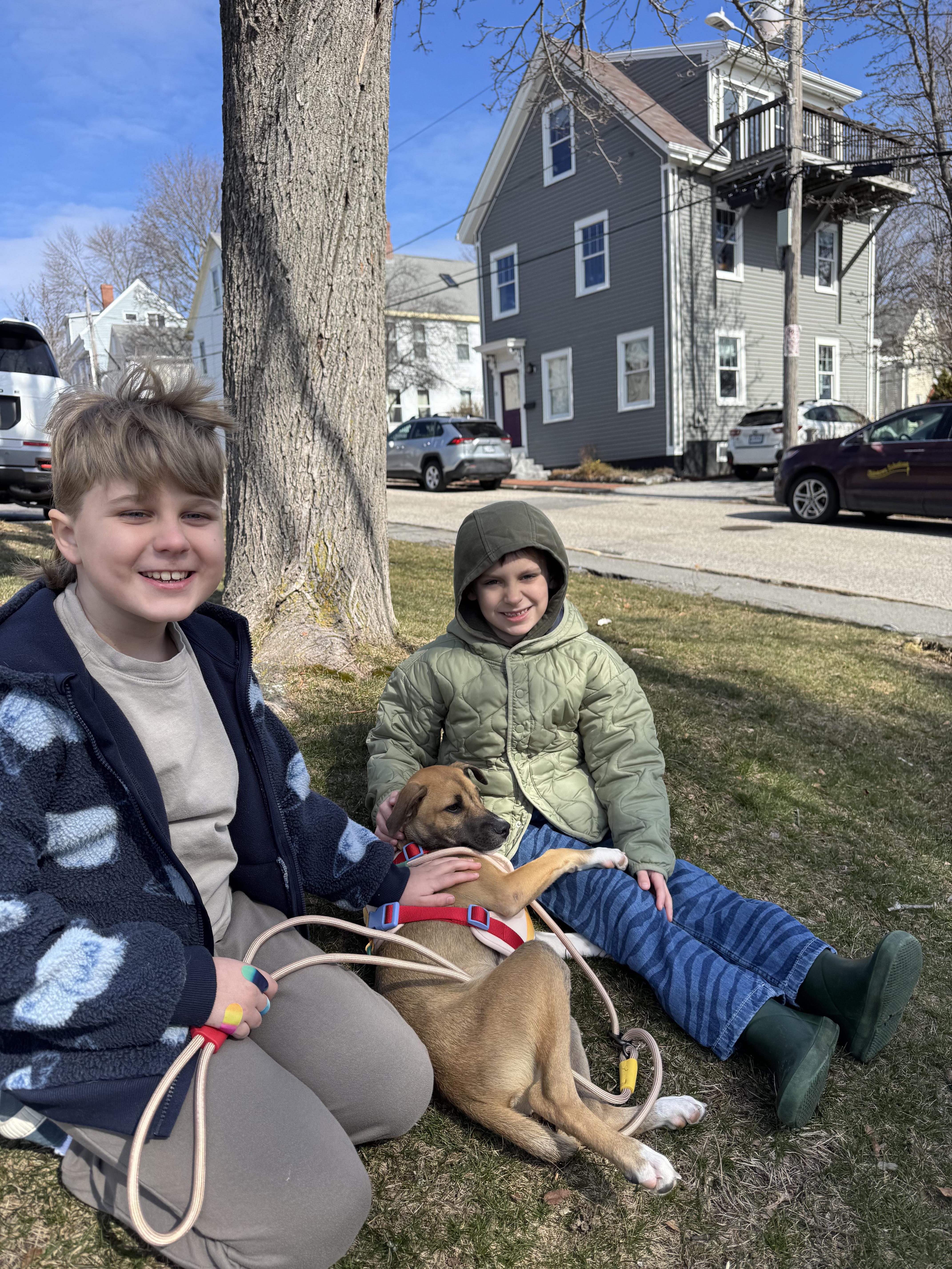 Lolo  The Little thumbnail 3