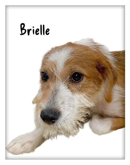 Brielle thumbnail 3