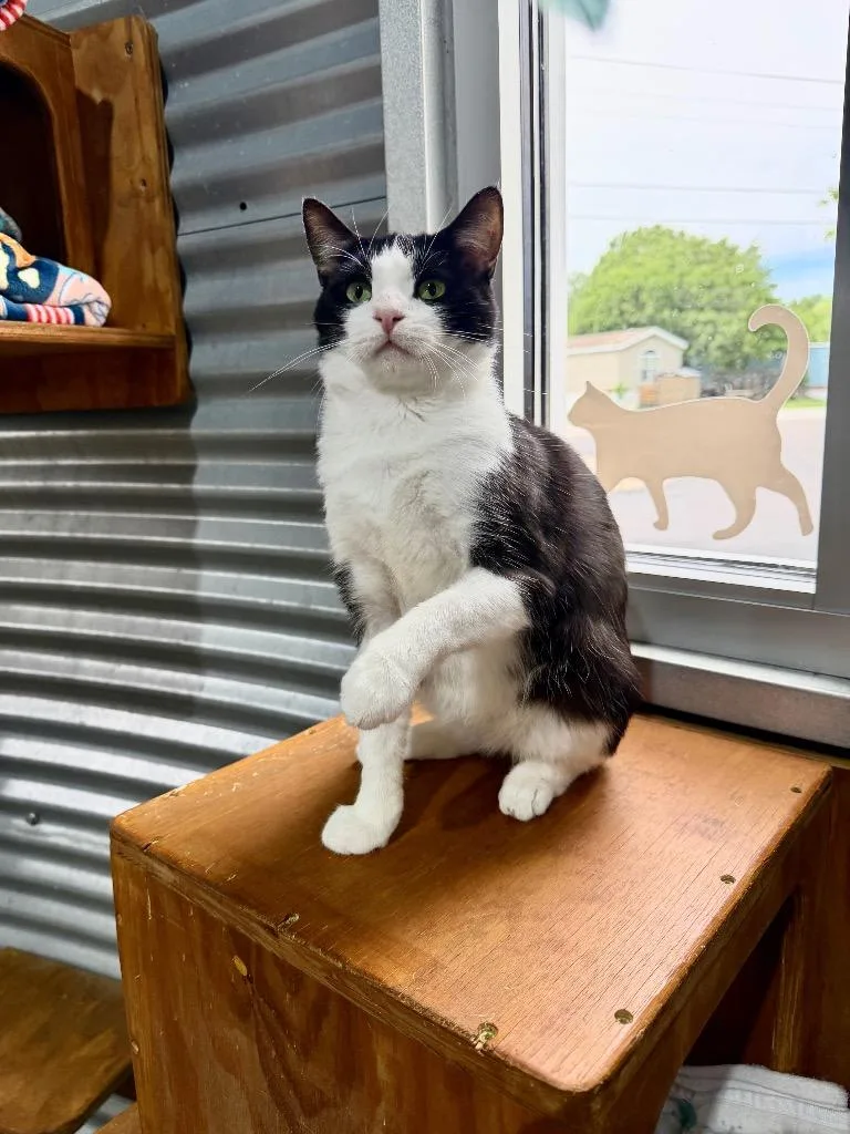 Oswald  Silo thumbnail 4