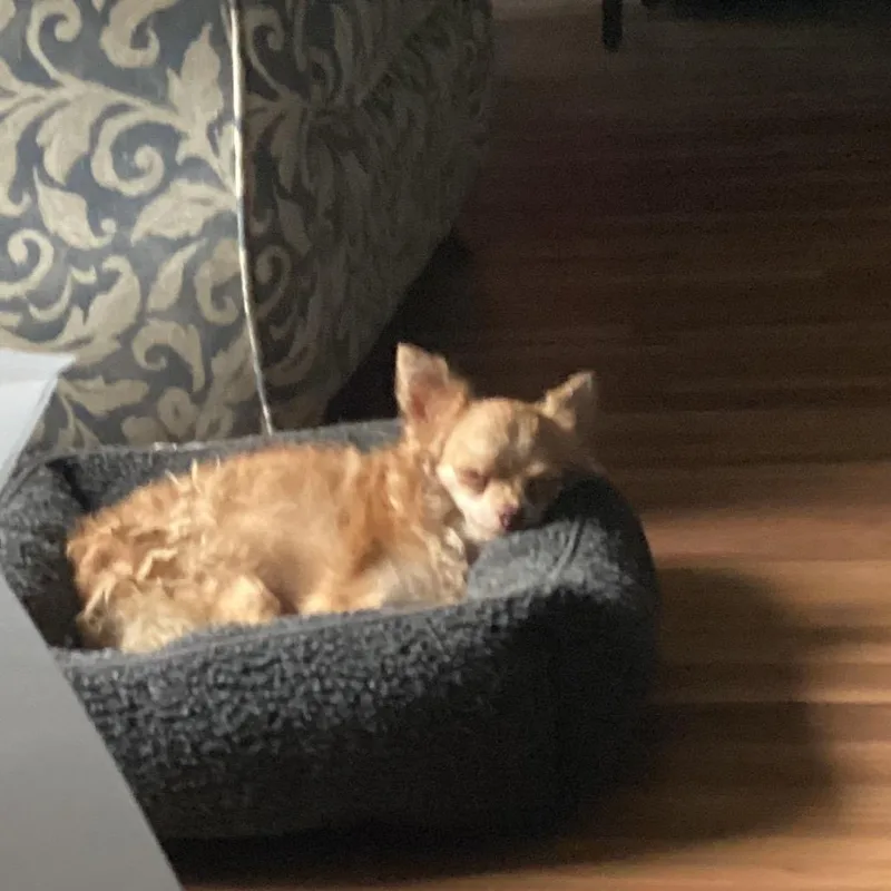 Tito