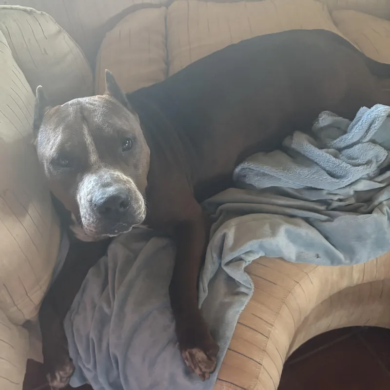 Ruby Girl thumbnail 2