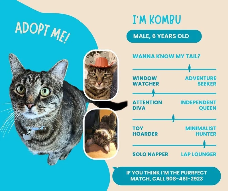 Kombu thumbnail 5