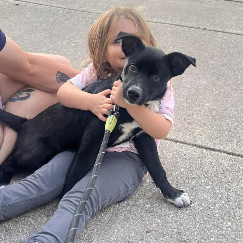 Moon Pie Mf thumbnail 2