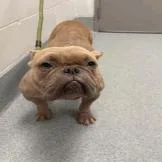Philbert thumbnail 2