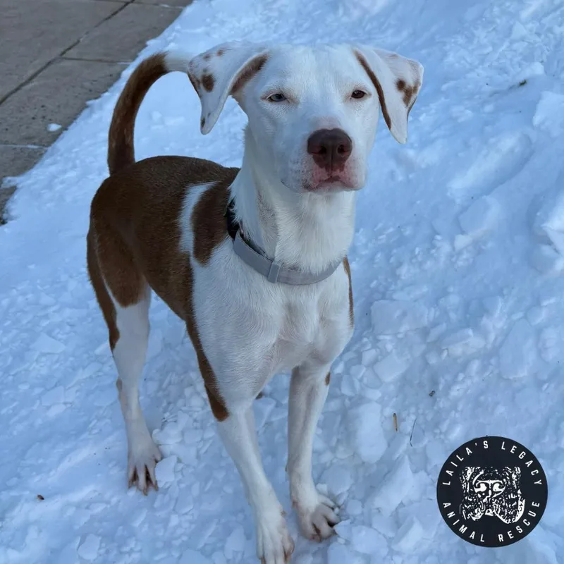 Lil Sleepy thumbnail 2