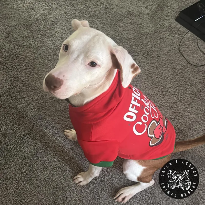 Lil Sleepy thumbnail 3