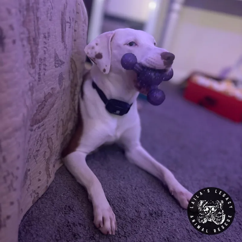 Lil Sleepy thumbnail 4