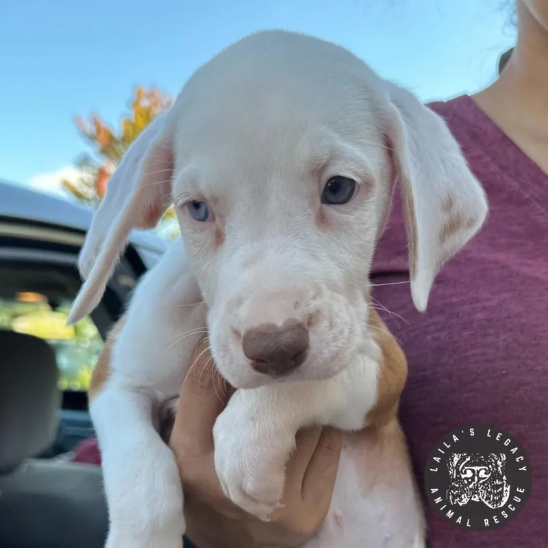 Lil Sleepy thumbnail 6