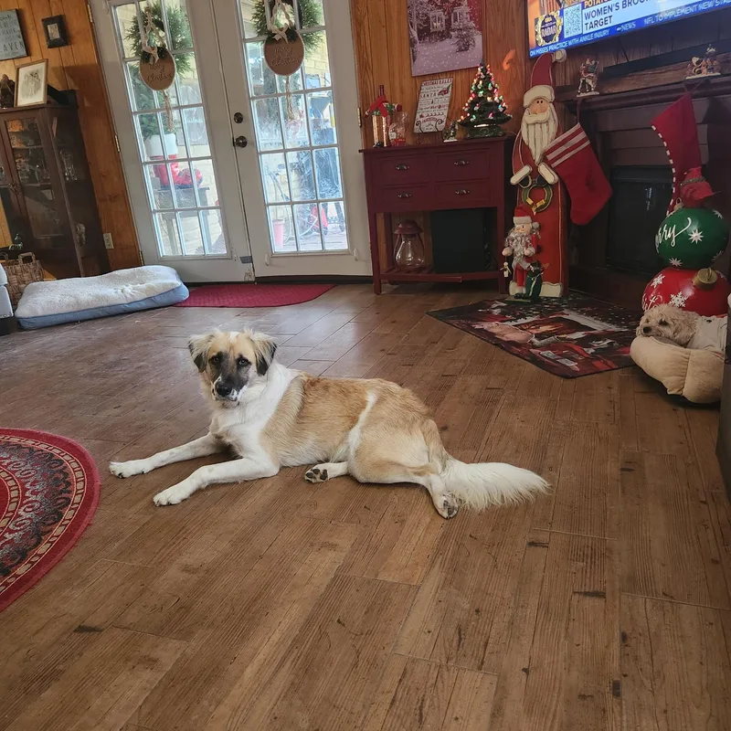 Oscar Htx thumbnail 2