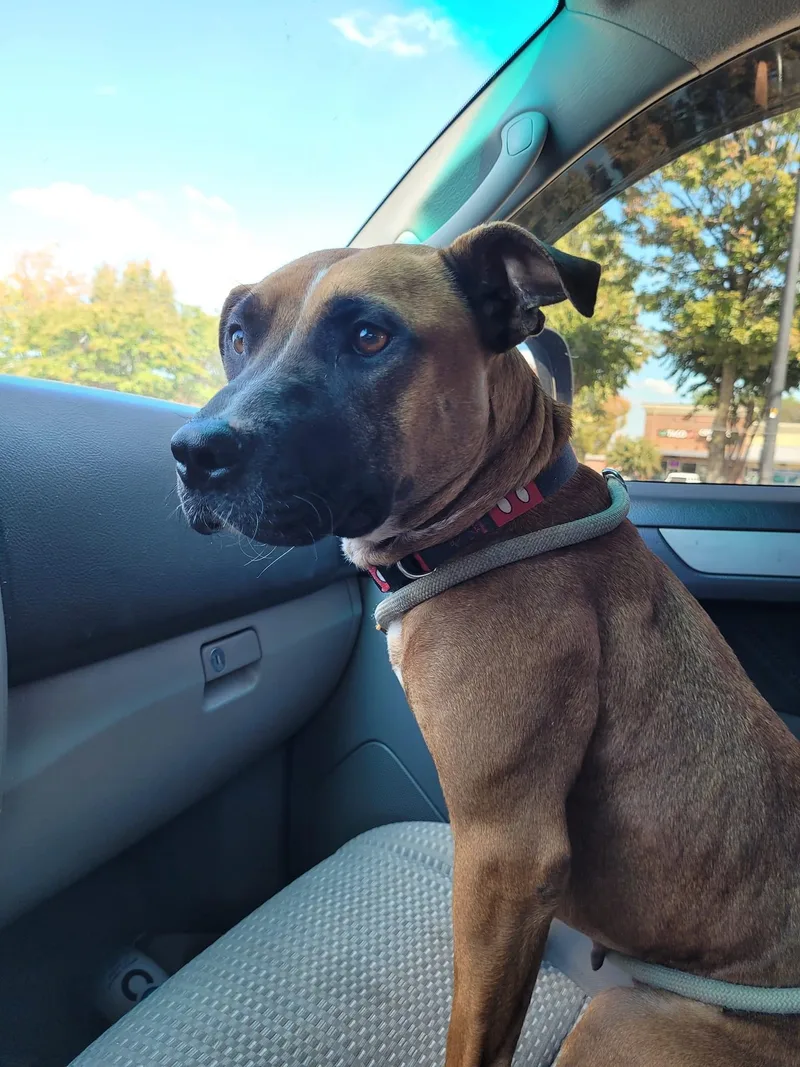 Precious thumbnail 2