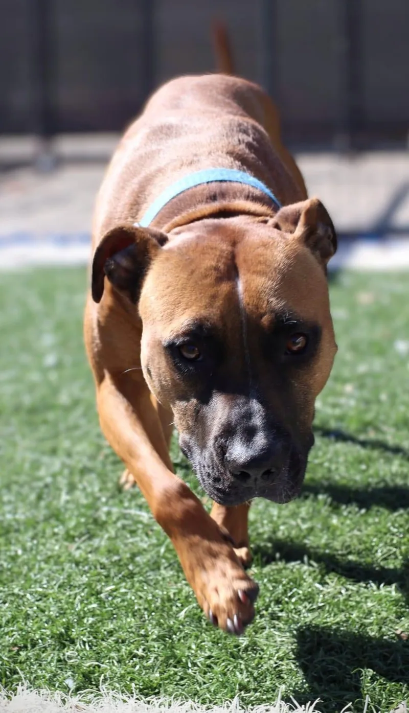 Precious thumbnail 3