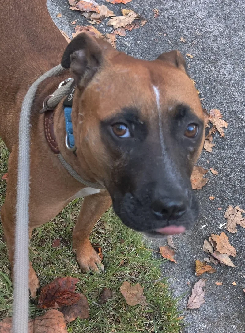 Precious thumbnail 4