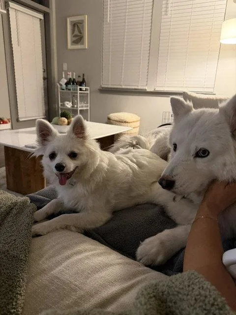 Luna of Charleston  thumbnail 2
