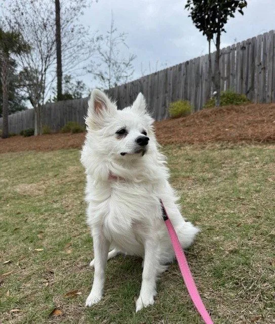 Luna of Charleston  thumbnail 3