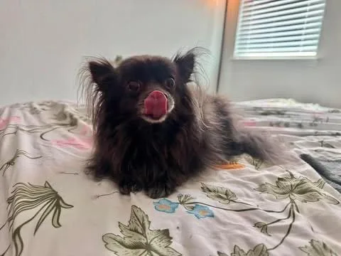 Angelito