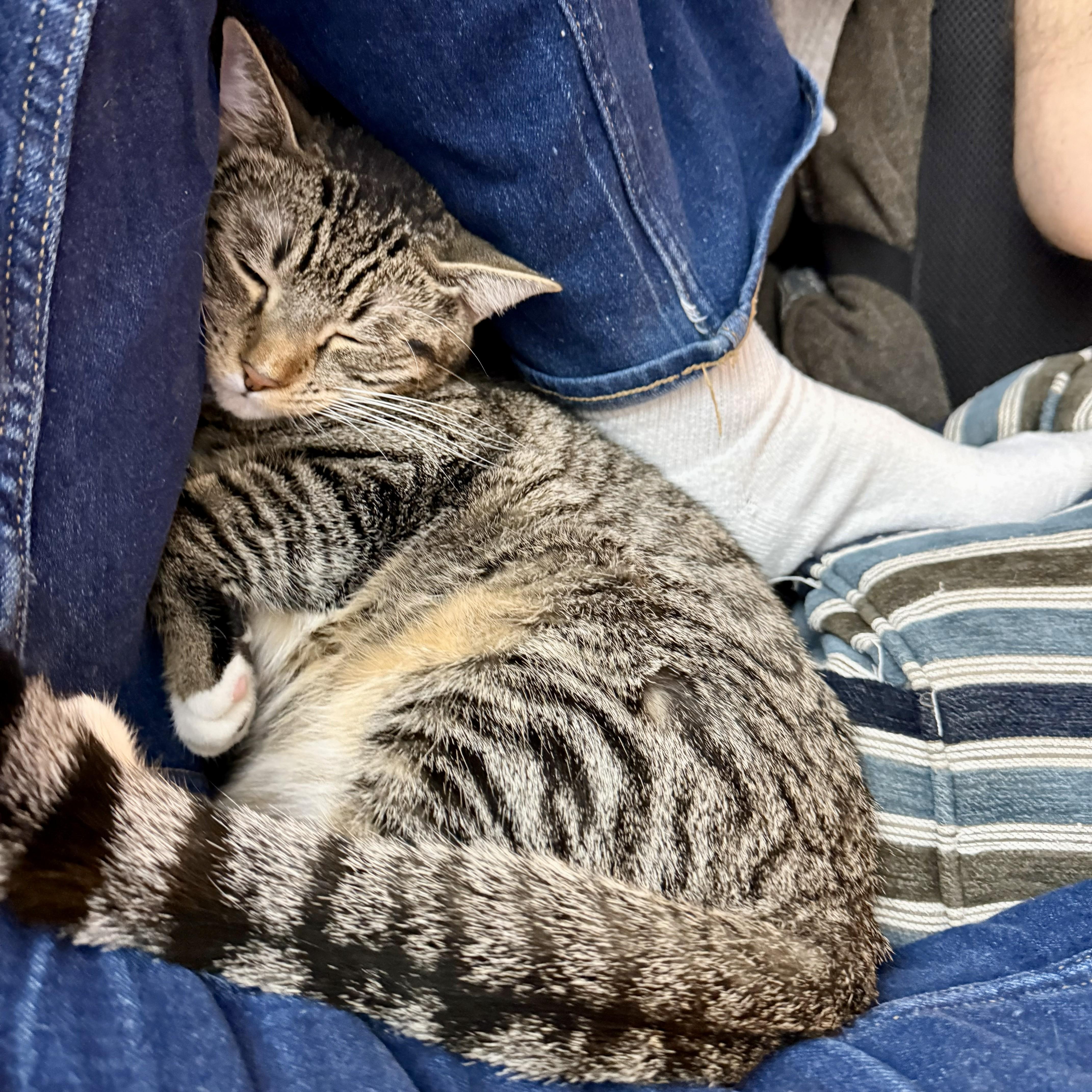 Mr. Green thumbnail 3