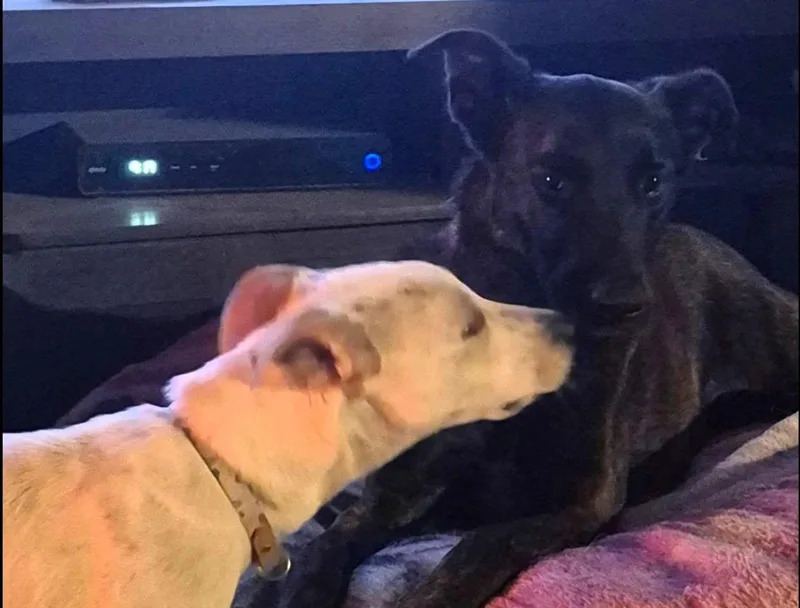 Buttersoak Harbor  Wa thumbnail 2