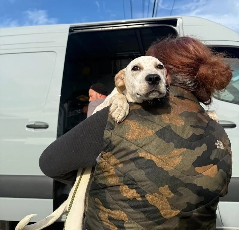 Buttersoak Harbor  Wa thumbnail 3