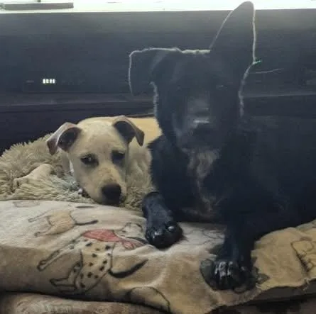 Buttersoak Harbor  Wa thumbnail 4