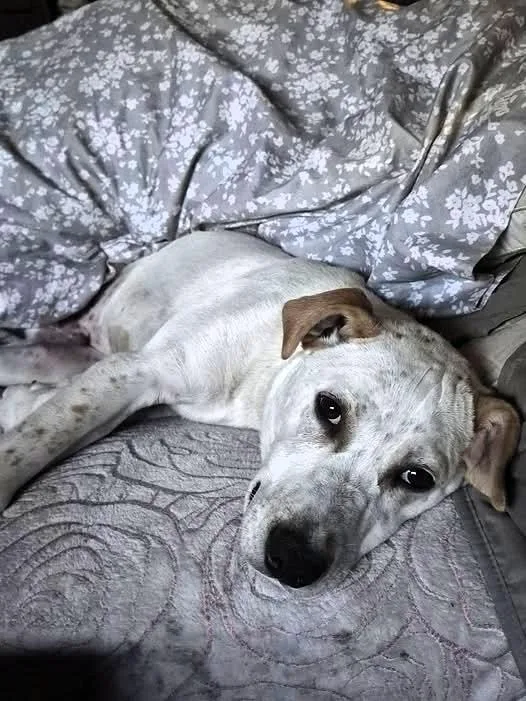 Buttersoak Harbor  Wa