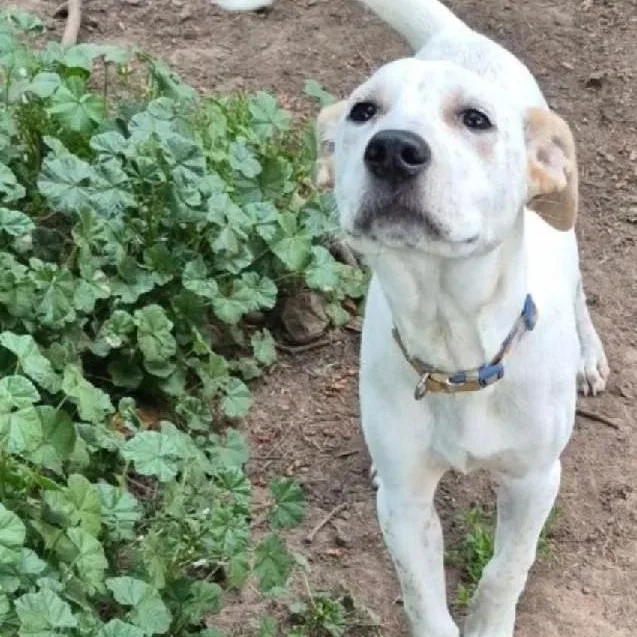 Buttersoak Harbor  Wa thumbnail 5