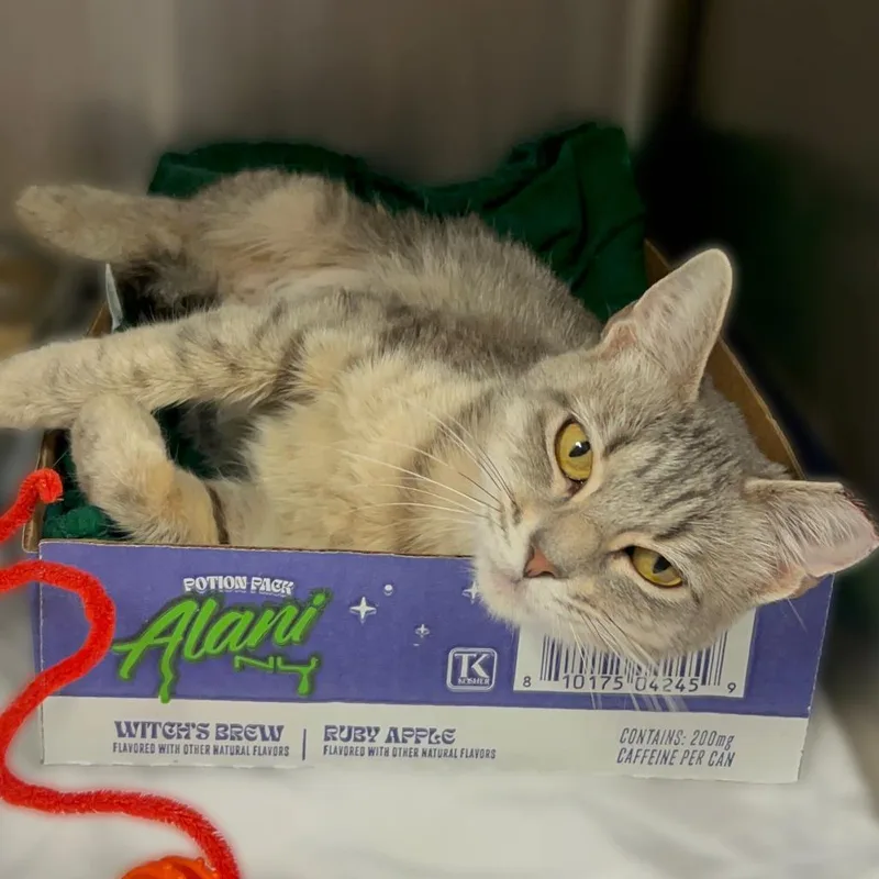TNR Betty thumbnail 2