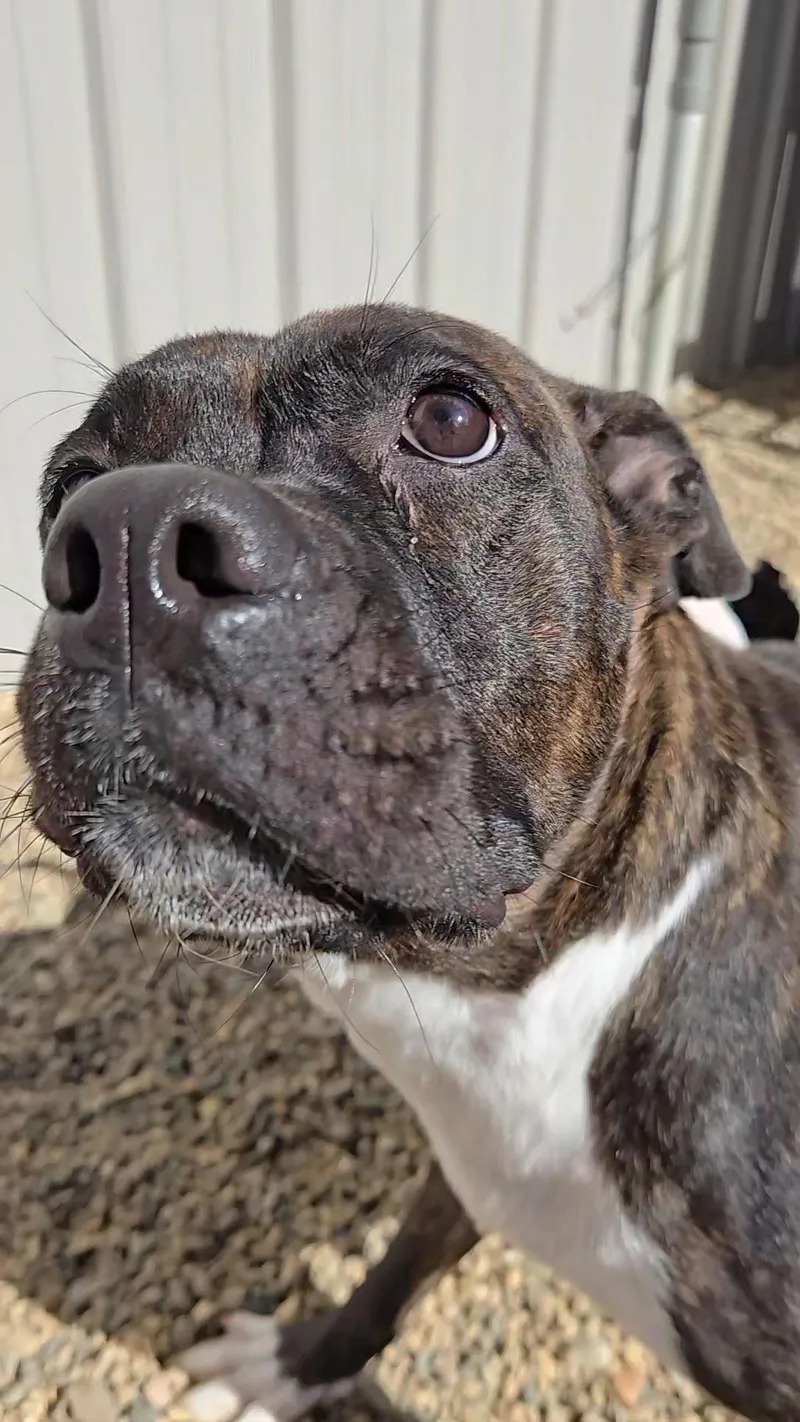 Princess thumbnail 2