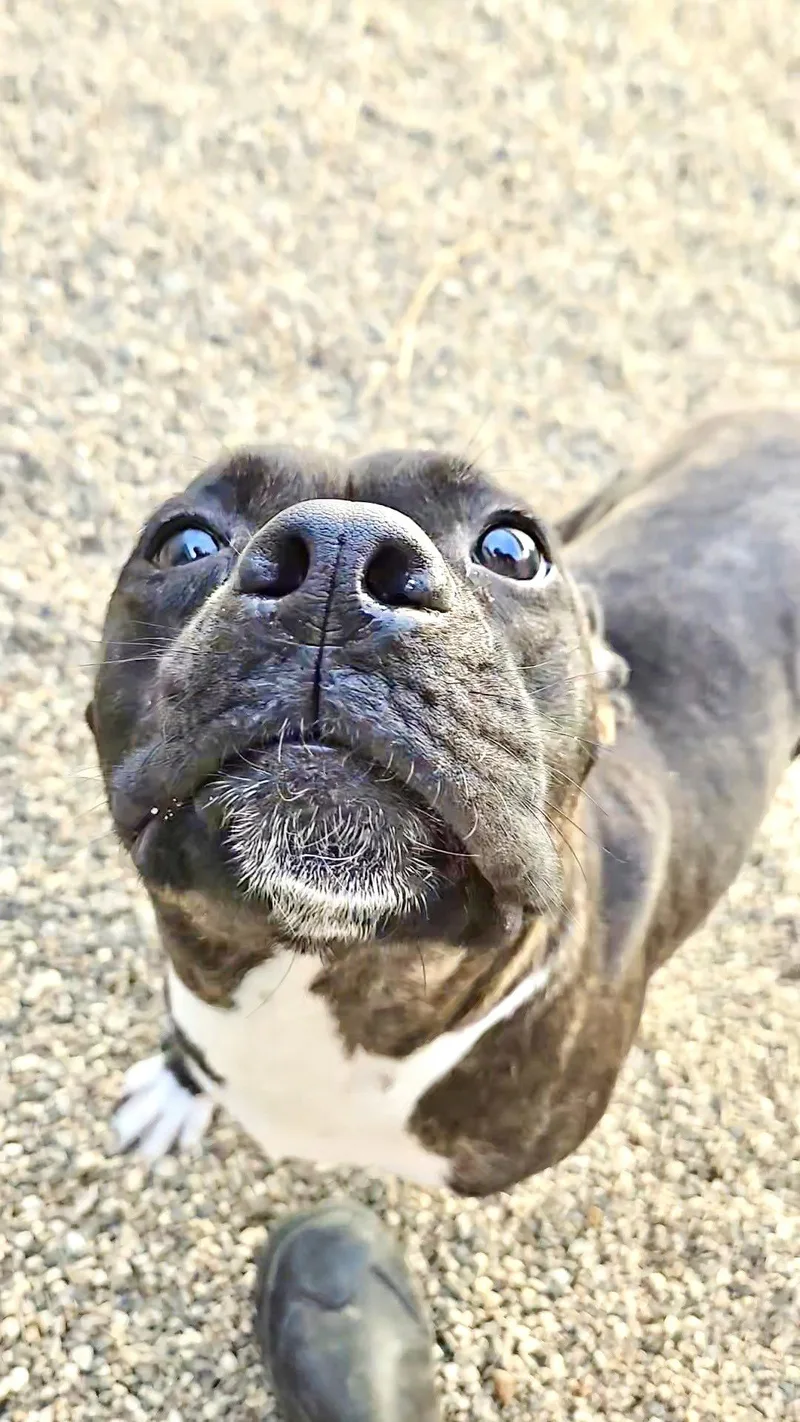 Princess thumbnail 3