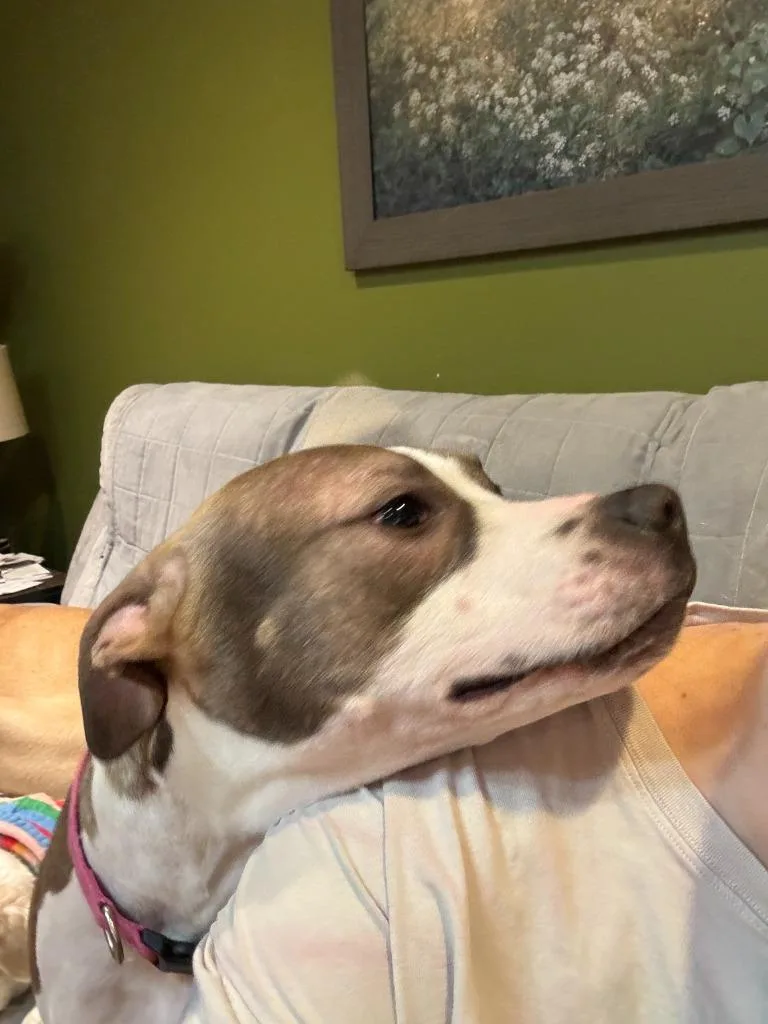 Wilson Courtesy Listing thumbnail 2