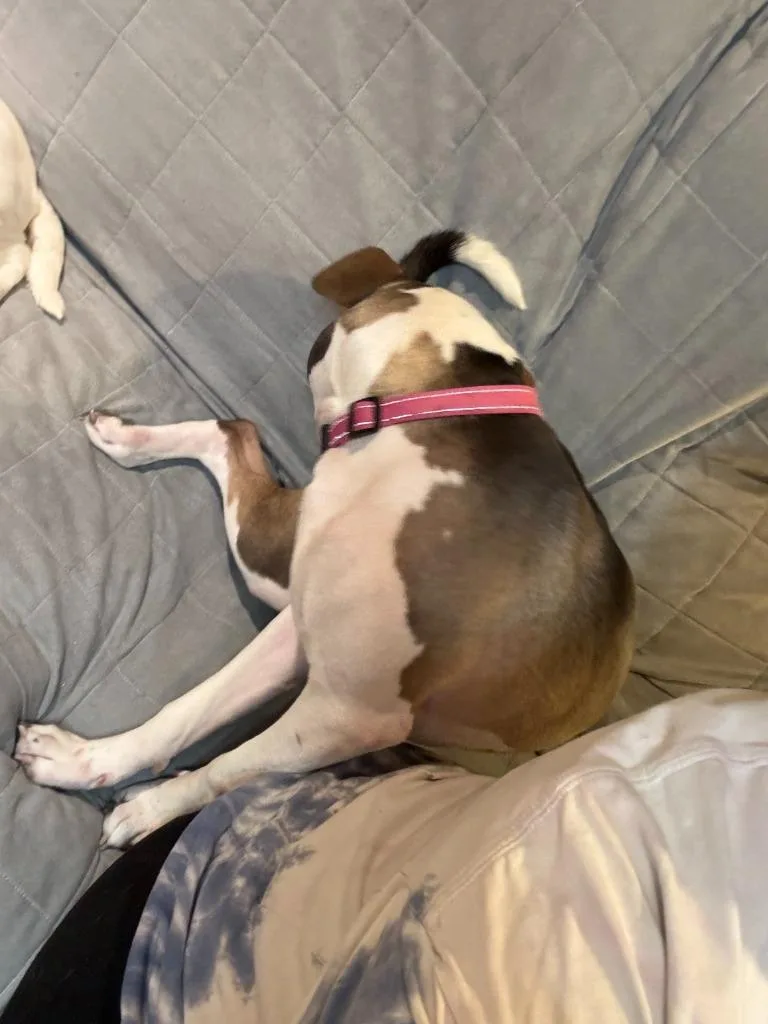 Wilson Courtesy Listing thumbnail 3