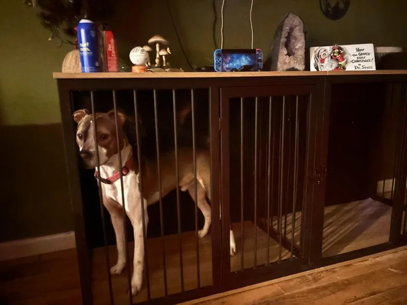 Wilson Courtesy Listing thumbnail 4