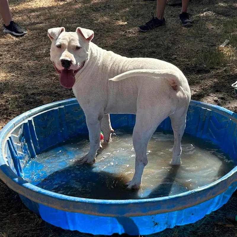 Max Cooper thumbnail 2